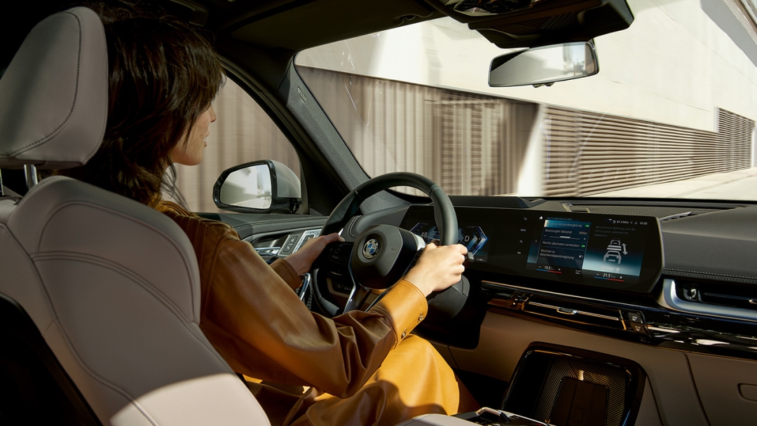 Ассистент вождения Professional.           